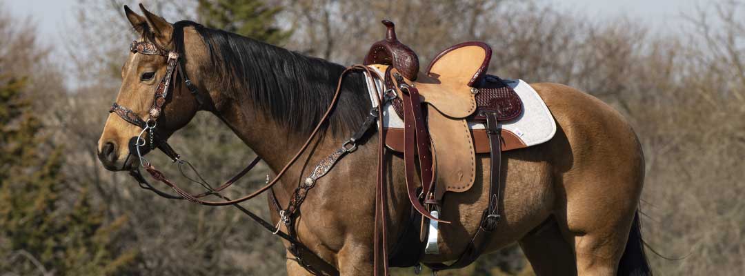 article-Western-Saddle-Q-and-A