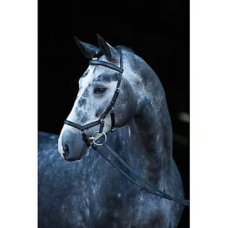 Micklem Competition Bridle