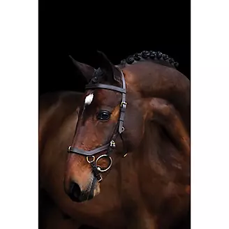 Rambo Micklem Multibridle