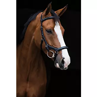 Deluxe Competition Bridle