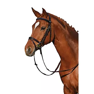 Stubben Switch Bridle