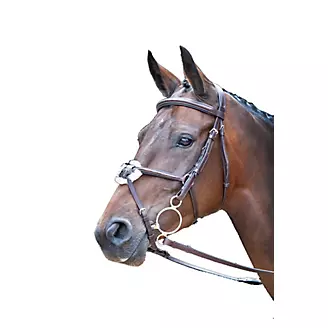 Figure 8 Bridle