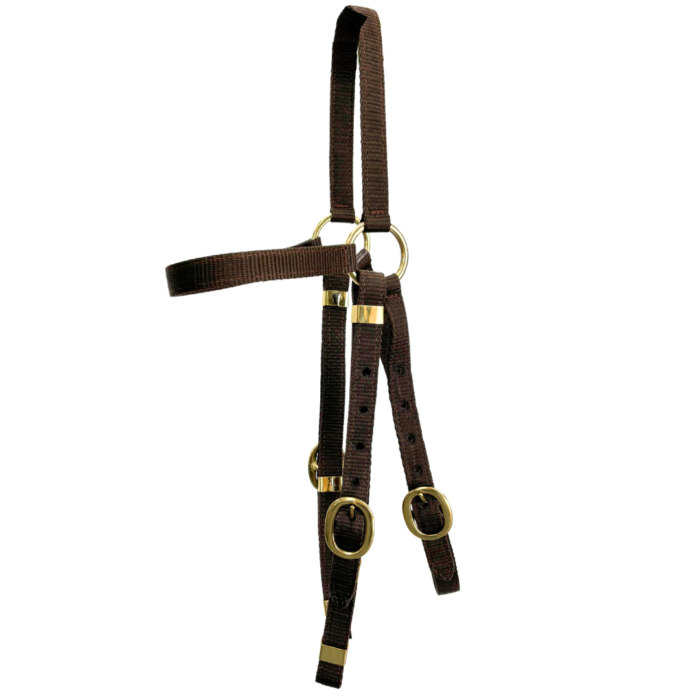 Calgary Web Work Bridle