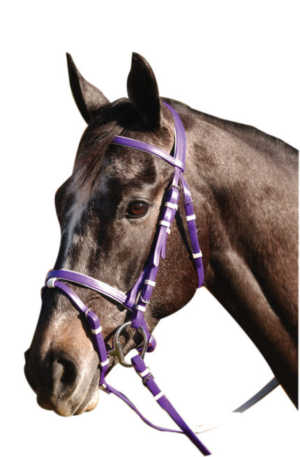 Hanoverian PVC Eventing Bridle