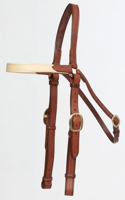 Oregon Padded Browband Barcoo Bridle