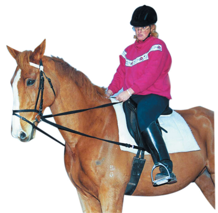 Web Draw Reins